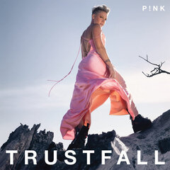 CD Pink Trustfall цена и информация | Виниловые пластинки, CD, DVD | hansapost.ee