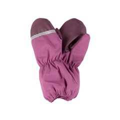 Теплые зимние перчатки Lenne цена и информация | Зимняя одежда для детей | hansapost.ee