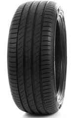 Delinte DS2 225/45R17 94 W XL цена и информация | Летняя резина | hansapost.ee