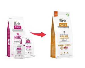 Brit Care для молодых собак крупных пород гипоаллергенный с ягненком, 12 кг (новая упаковка) цена и информация | Сухой корм для собак | hansapost.ee