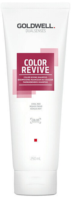 Šampoon Goldwell Dualsenses Color Revive Cool Red, 250 ml цена и информация | Šampoonid | hansapost.ee