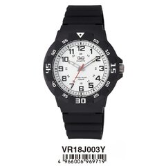 Meeste käekell Q&Q VR18J003Y (Ø 43 mm) price and information | Watches for men | hansapost.ee