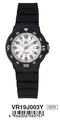 Мужские часы Q&Q VR19J003J цена и информация | Мужские часы | hansapost.ee
