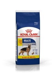 Kuivtoit koertele Royal Canin Shn 15+3kg Maxi цена и информация | Сухой корм для собак | hansapost.ee