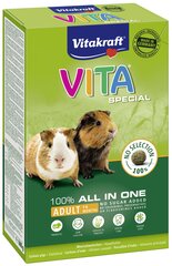 Корм для морских свинок Vitakraft Vita Special, 600 г цена и информация | Корм для грызунов | hansapost.ee