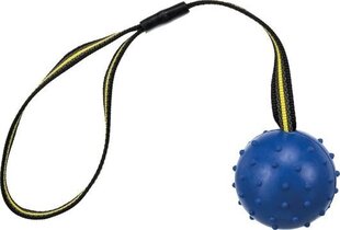 Мяч на резинке Trixie, каучук, 6-35 см цена и информация | Игрушки для собак | hansapost.ee