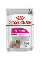 Konserv koertele Royal Canin Ccn Wet 85g Exigent Loaf цена и информация | Консервы для собак | hansapost.ee