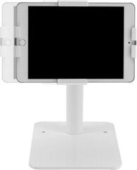 Neomounts Tablet Mount Neomounts DS15-625WH1 White цена и информация | Аксессуары для планшетов, электронных книг | hansapost.ee