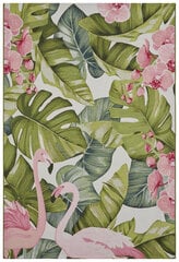 Hanse Home vaip Tropical Flamingo 200x285 cm hind ja info | Vaibad | hansapost.ee