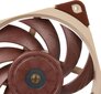 Noctua NF A12x25 FLX hind ja info | Arvuti ventilaatorid | hansapost.ee