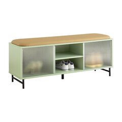 Jalanõudekapp SoBuy FSR115-GR, roheline price and information | Shoe cupboards, shoe racks | hansapost.ee