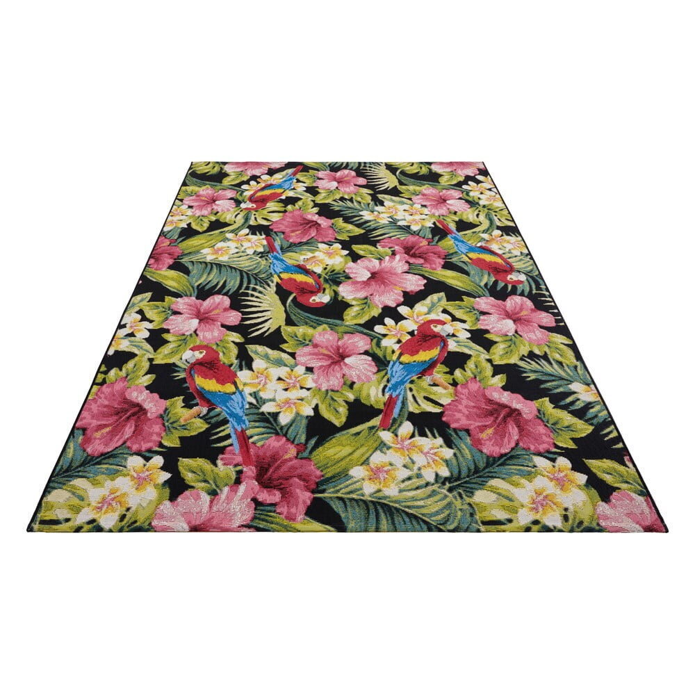 Hanse Home vaip Tropical Feeling 200x285 cm hind ja info | Vaibad | hansapost.ee