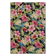 Hanse Home vaip Tropical Feeling 120x180 cm hind ja info | Vaibad | hansapost.ee