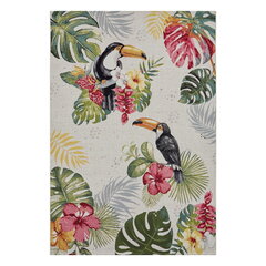 Hanse Home vaip Tropical Dream Creme 80x165 cm цена и информация | Ковры | hansapost.ee