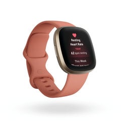 Fitbit Versa 3 FB511GLPK Pink Clay/Soft Gold цена и информация | Смарт-часы (smartwatch) | hansapost.ee
