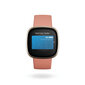 Fitbit Versa 3 Pink Clay/Soft Gold hind ja info | Nutikellad, laste nutikellad | hansapost.ee