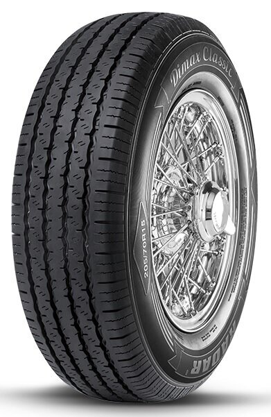 Radar DiMax Classic 215/70R14 92 V WSW hind ja info | Suverehvid | hansapost.ee