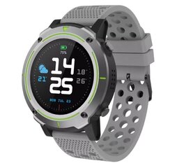 Denver SW-510, Grey цена и информация | Смарт-часы (smartwatch) | hansapost.ee