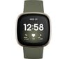 Fitbit Versa 3 Olive/Soft Gold цена и информация | Nutikellad, laste nutikellad | hansapost.ee