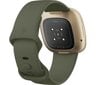 Fitbit Versa 3 Olive/Soft Gold цена и информация | Nutikellad, laste nutikellad | hansapost.ee