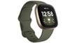 Fitbit Versa 3 Olive/Soft Gold цена и информация | Nutikellad, laste nutikellad | hansapost.ee