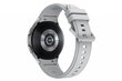 Samsung Galaxy Watch 4 Classic (BT,46mm) SM-R890NZSAEUD hind ja info | Nutikellad, laste nutikellad | hansapost.ee