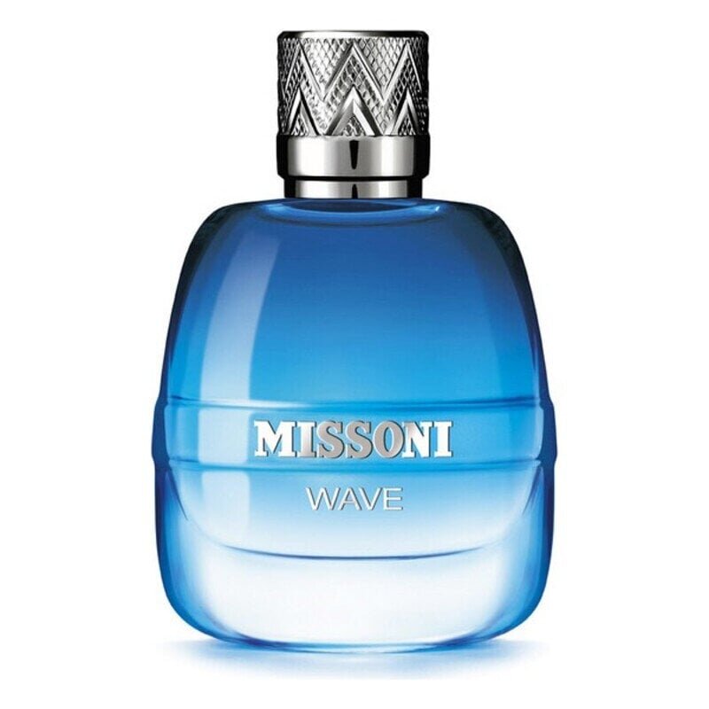 Tualettvesi Missioni wave meestele, 50 ml цена и информация | Parfüümid meestele | hansapost.ee