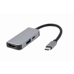 Dokstacija Gembird USB Type-C 3-in-1 Silver цена и информация | Адаптеры и USB-hub | hansapost.ee