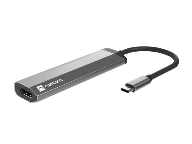 Adapter Natec Multi-Port Fowler Slim, USB Type-C цена и информация | USB adapterid ja jagajad | hansapost.ee