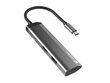 Adapter Natec Multi-Port Fowler Slim, USB Type-C hind ja info | USB adapterid ja jagajad | hansapost.ee