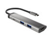 Adapter Natec Multi-Port Fowler Slim, USB Type-C hind ja info | USB adapterid ja jagajad | hansapost.ee