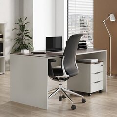 Письменный стол 4225, белый цвет цена и информация | Компьютерные, письменные столы | hansapost.ee
