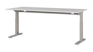 Письменный стол 4253, серый цвет цена и информация | Компьютерные, письменные столы | hansapost.ee
