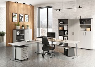 Письменный стол 4252, серый цвет цена и информация | Компьютерные, письменные столы | hansapost.ee