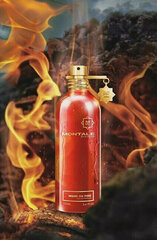 Парфюмированная вода для мужчин/женщин Montale Wood On Fire EDP, 100 мл цена и информация | Montale Духи, косметика | hansapost.ee