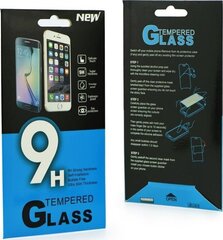 Защитное стекло PremiumGlass 9H для Xiaomi Redmi Note 9 Pro Max цена и информация | Защитные пленки для телефонов | hansapost.ee