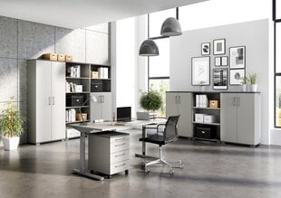 Офисный шкаф 4250, серый цвет цена и информация | Шкафы | hansapost.ee