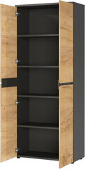 Офисный шкаф 4266, коричневый цвет цена и информация | Шкафы | hansapost.ee