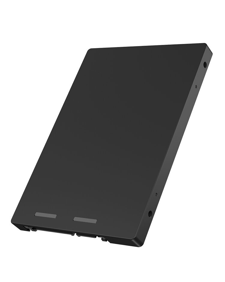 IcyBox IB-M2S253 hind ja info | Väliste kõvaketaste ümbrised | hansapost.ee