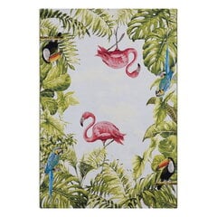 Hanse Home vaip Tropical Birds 80x165 cm цена и информация | Ковры | hansapost.ee