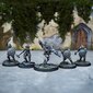 The Elder Scrolls Call to Arms Dawnguard Core Set цена и информация | Fännitooted mänguritele | hansapost.ee