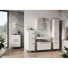 Шкаф для ванной комнаты 2754, белый цвет цена и информация | Шкафчики для ванной | hansapost.ee