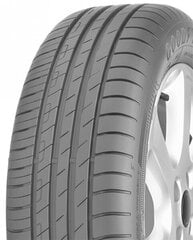 Goodyear EfficientGrip Performance 205/45R17 цена и информация | Летняя резина | hansapost.ee