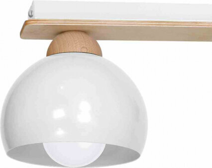 Milagro Ceiling lamp DAMA WHITE 3xE27 цена и информация | Laelambid | hansapost.ee