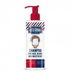 Šampoon juustele, habemele ja vuntsidele Mister Groomer, 200 ml hind ja info | Mister Groomer Parfüümid, lõhnad ja kosmeetika | hansapost.ee