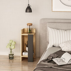 Ночной столик Kalune Design D855(I), 60 см, коричневый/серый цена и информация | Прикроватные тумбочки | hansapost.ee