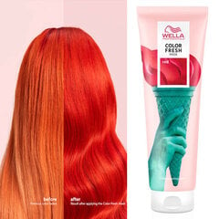 Juuksemask Color Fresh Mask 150 ml цена и информация | Маски, масла, сыворотки | hansapost.ee