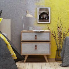 Ночной шкаф Kalune Design Olenj, коричневый цена и информация | Ночные шкафы | hansapost.ee