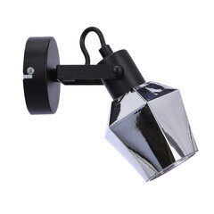 Candellux настенный светильник Randi цена и информация | Настенные светильники | hansapost.ee