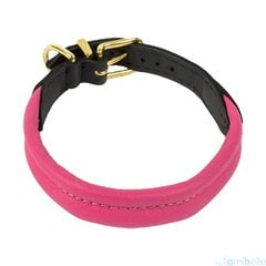 Кожаный ошейник Amibelle, розовый цвет цена и информация | Ошейники, подтяжки для собак | hansapost.ee